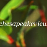 ChesapeakeView